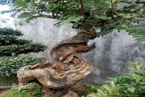 动漫女主壁纸人妻av无码专区久久，那些触动心弦的二次元魅力女性角色