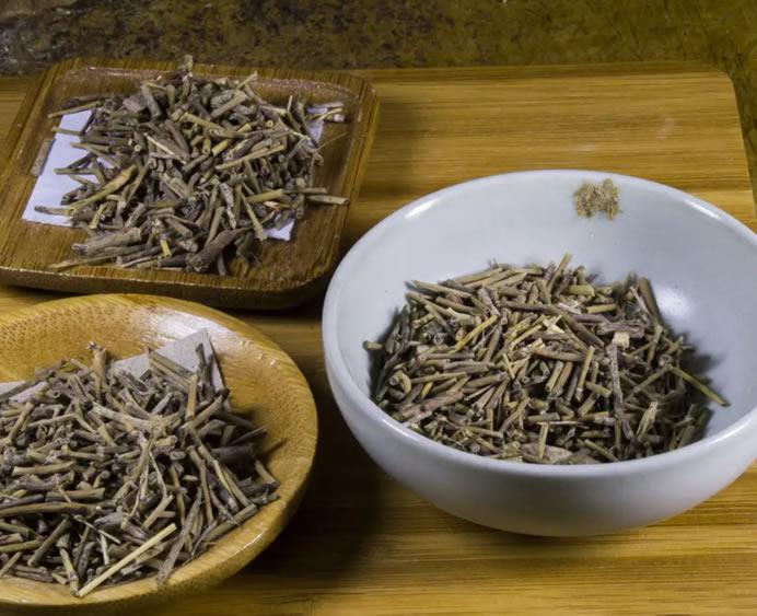 地笼王精品日本免费一区二区三区服务贴心，值得信赖